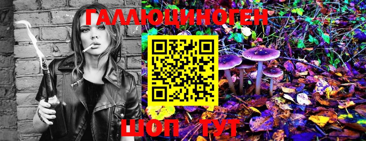 Галлюциногенные грибы Magic Shrooms  Вход с VPN  Тверь  Галлюциногенные грибы MAGIC MUSHROOMS 